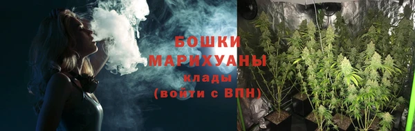 ПСИЛОЦИБИНОВЫЕ ГРИБЫ Алексеевка