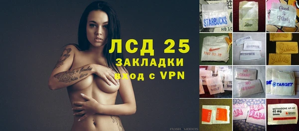 ПСИЛОЦИБИНОВЫЕ ГРИБЫ Алексеевка
