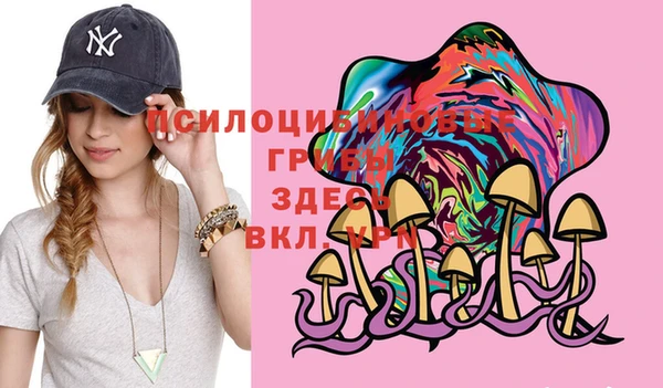 ПСИЛОЦИБИНОВЫЕ ГРИБЫ Алексеевка