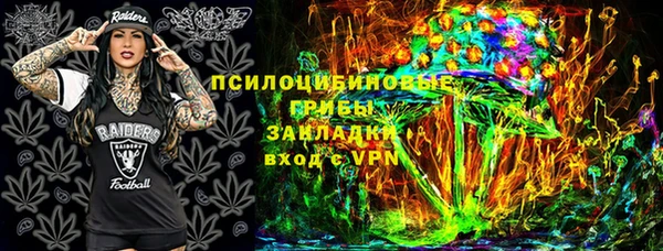 ПСИЛОЦИБИНОВЫЕ ГРИБЫ Алексеевка