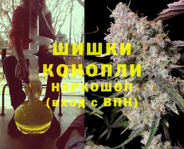 ПСИЛОЦИБИНОВЫЕ ГРИБЫ Алексеевка