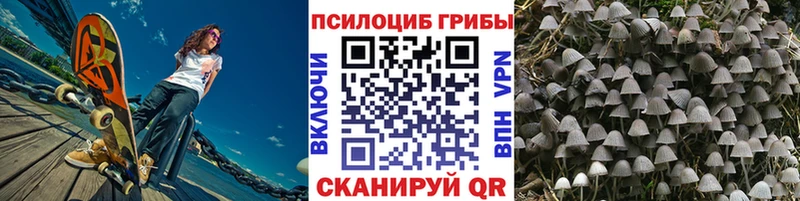 закладки  Нарьян-Мар  Галлюциногенные грибы мицелий 